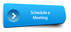 Blue utton with text, "Schedule a Meeting".